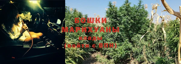 прущая мука Ладушкин
