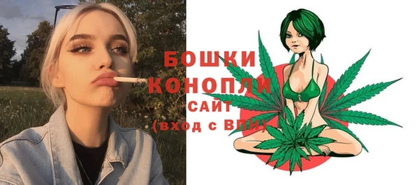 спиды Дмитровск