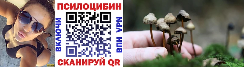 наркошоп  Могоча  Галлюциногенные грибы GOLDEN TEACHER 